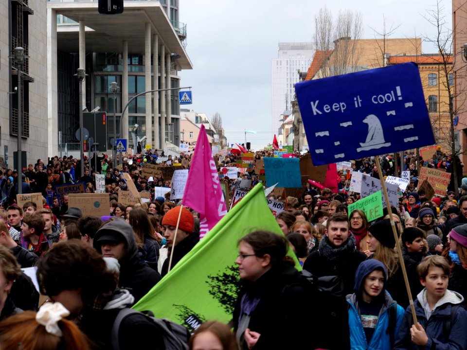 FridaysForFuture demonstration Berlin 15-03-2019 30
