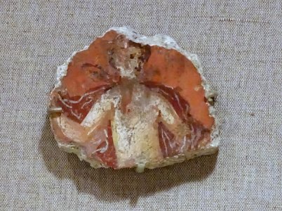 Fresco fragment, Roman, Campania, Italy, before 79 AD, plaster, paint - Spurlock Museum, UIUC - DSC05813