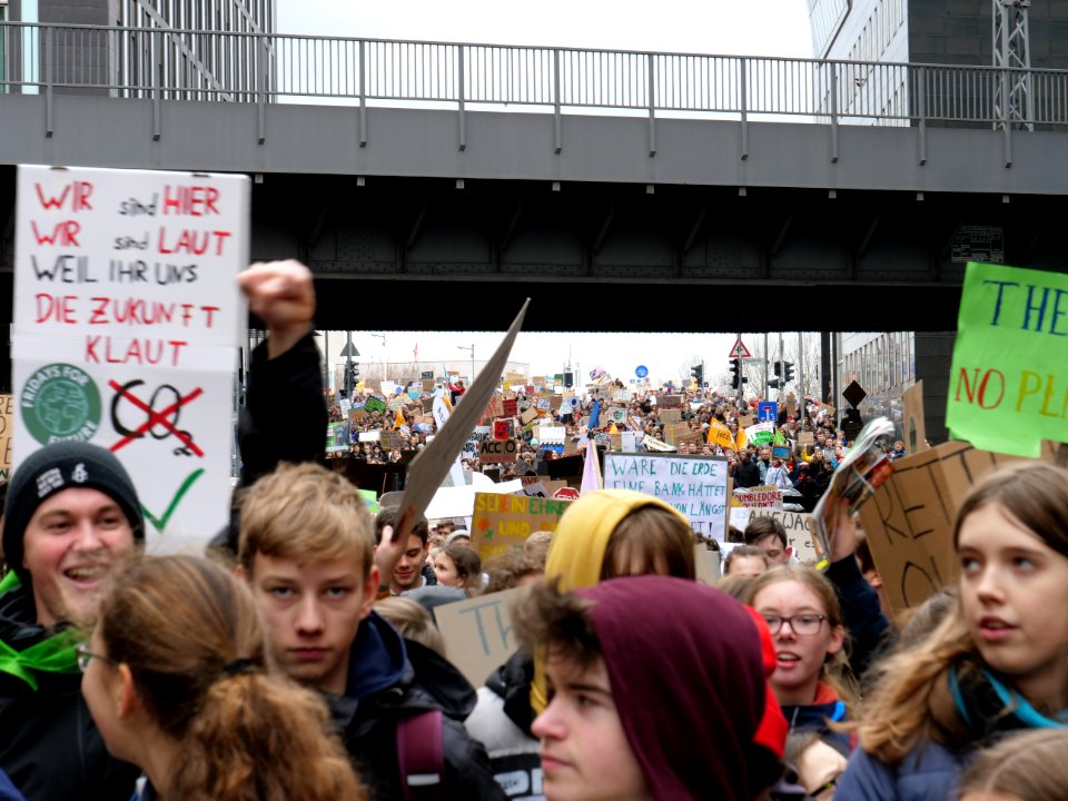 FridaysForFuture demonstration Berlin 15-03-2019 92