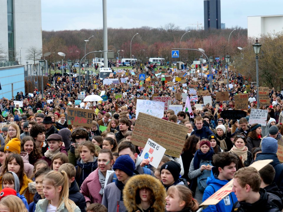 FridaysForFuture demonstration Berlin 15-03-2019 91