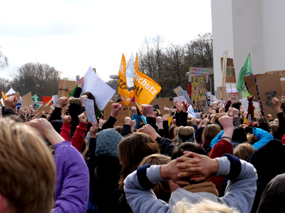 FridaysForFuture demonstration Berlin 15-03-2019 86