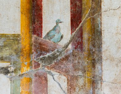 Fresco pigeon Oplontis