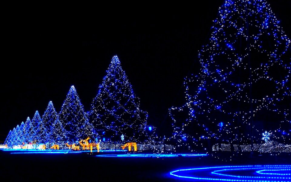 Christmas lights blue