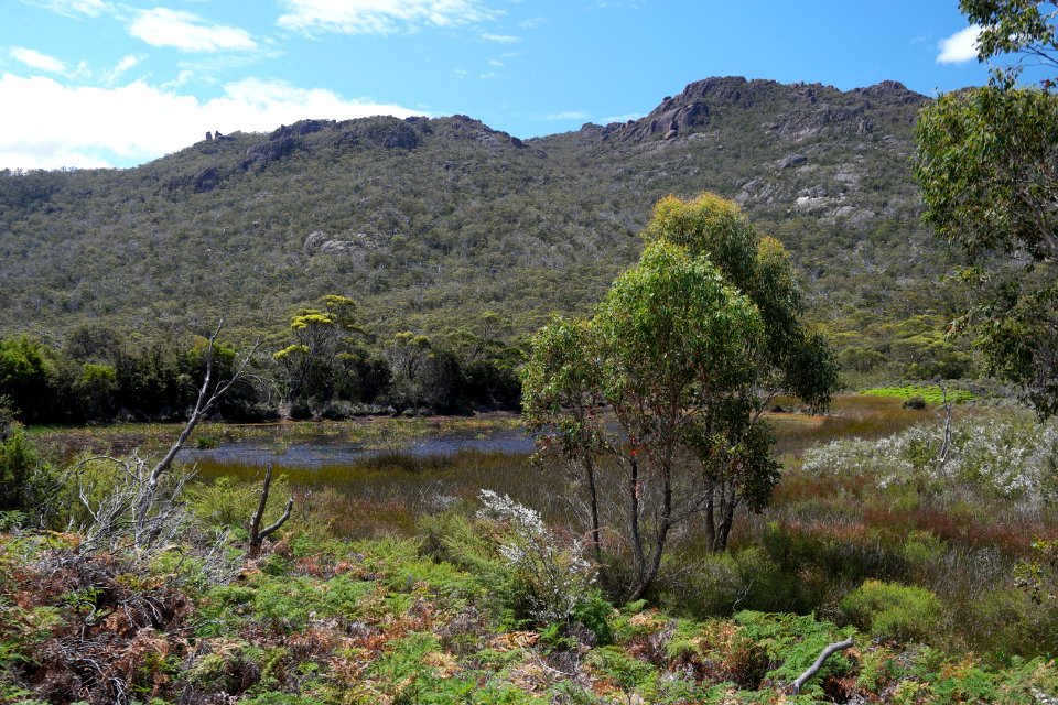 Freycinet National Park, Tasmania 16