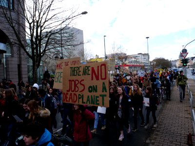 Fridays for Future Frankfurt am Main 08-03-2019 05