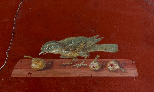 Fresco bird figs Villa Poppaea Oplontis Italy