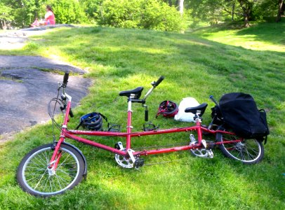 Friday Traveler CP W87 jeh