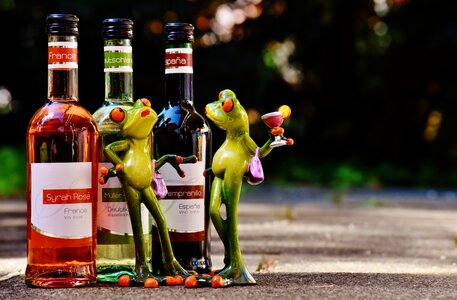 Restaurant weinstube alcohol