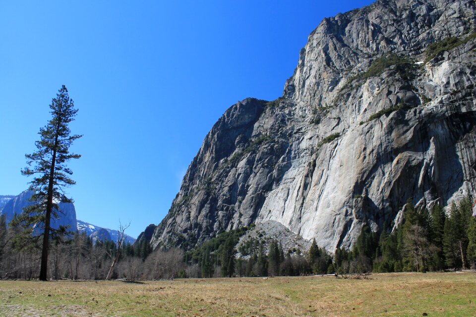 Park california national photo