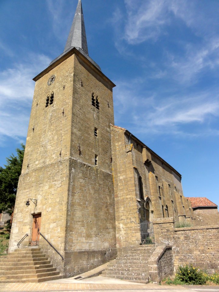 Fresnois-la-Montagne (Meurthe-et-M.) église (02)