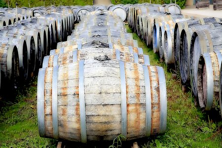 Barrel white wine winery