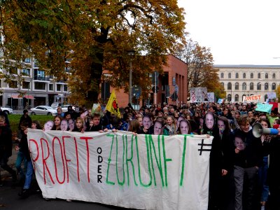 FridaysForFuture protest Berlin 08-11-2019 11 photo