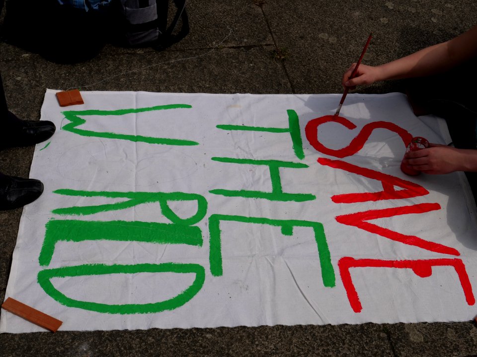 FridaysForFuture protest Berlin 10-05-2019 25
