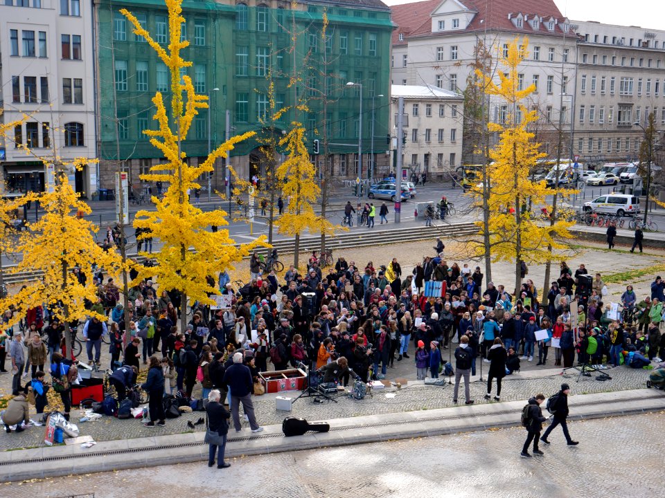 FridaysForFuture protest Berlin 08-11-2019 Invalidenpark 13