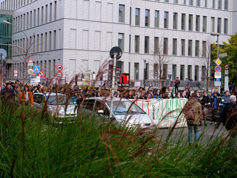 FridaysForFuture protest Berlin 08-11-2019 12