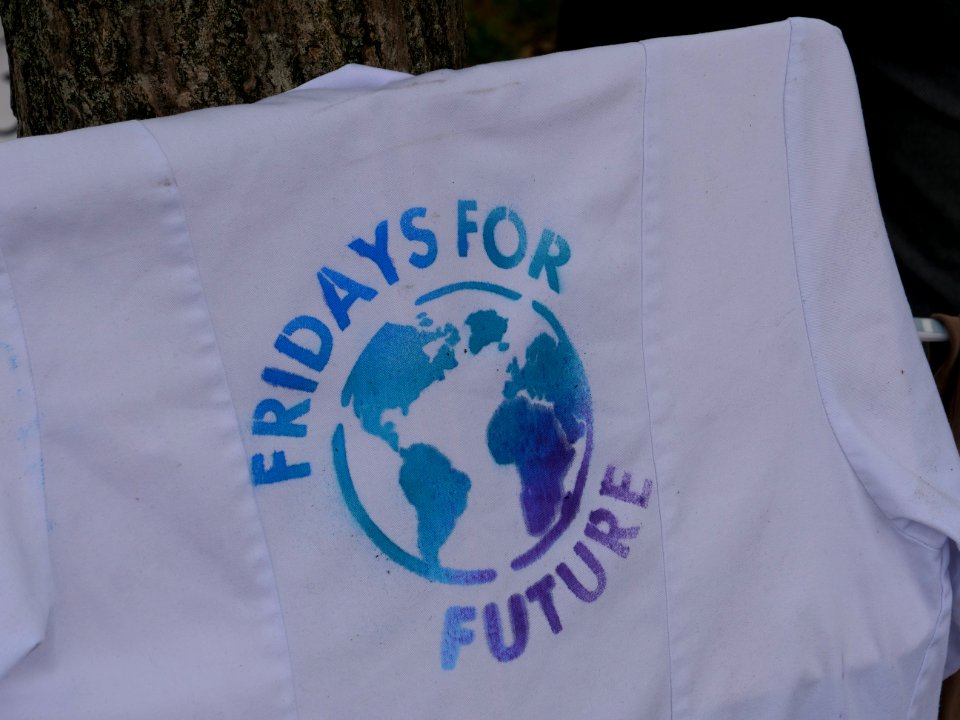 FridaysForFuture protest Berlin 10-05-2019 37