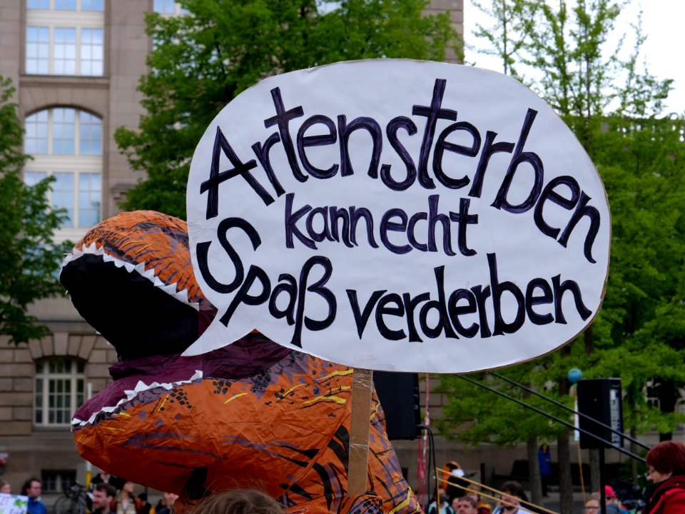 FridaysForFuture protest Berlin 03-05-2019 21