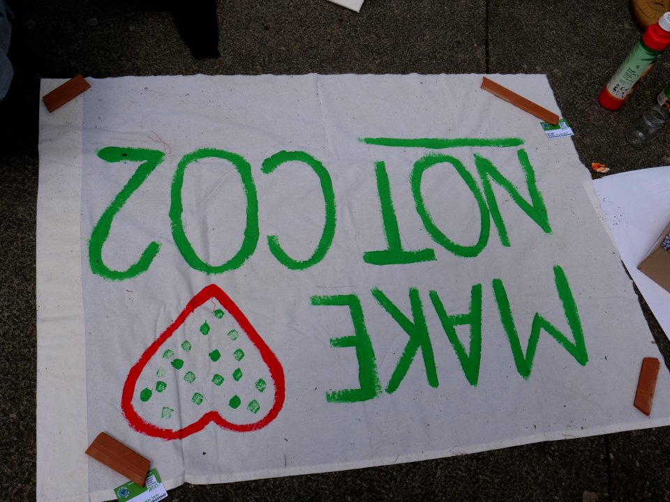 FridaysForFuture protest Berlin 10-05-2019 23