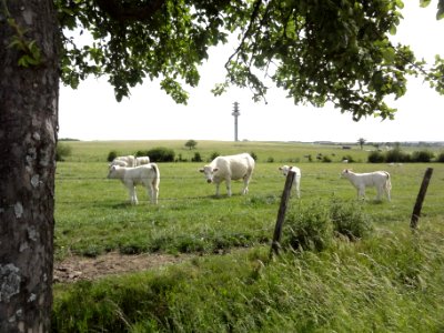 Fribourg (Moselle) paysage