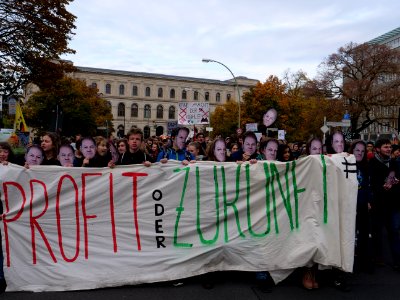 FridaysForFuture protest Berlin 08-11-2019 08