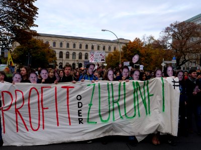 FridaysForFuture protest Berlin 08-11-2019 08 photo