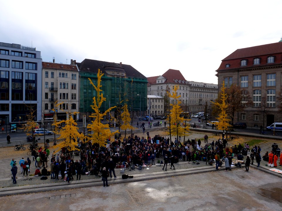FridaysForFuture protest Berlin 08-11-2019 Invalidenpark 12