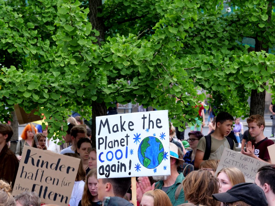 FridaysForFuture protest Berlin 07-06-2019 26