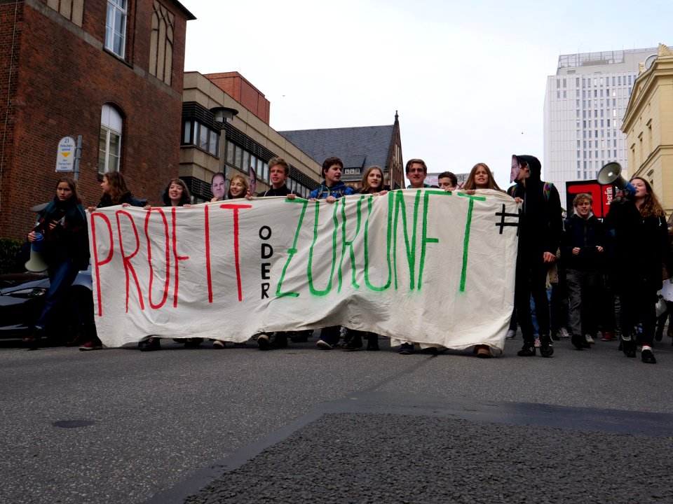 FridaysForFuture protest Berlin 08-11-2019 21
