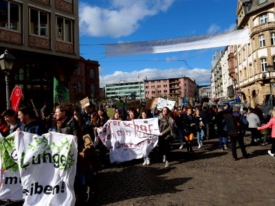 Fridays for Future Frankfurt am Main 08-03-2019 40