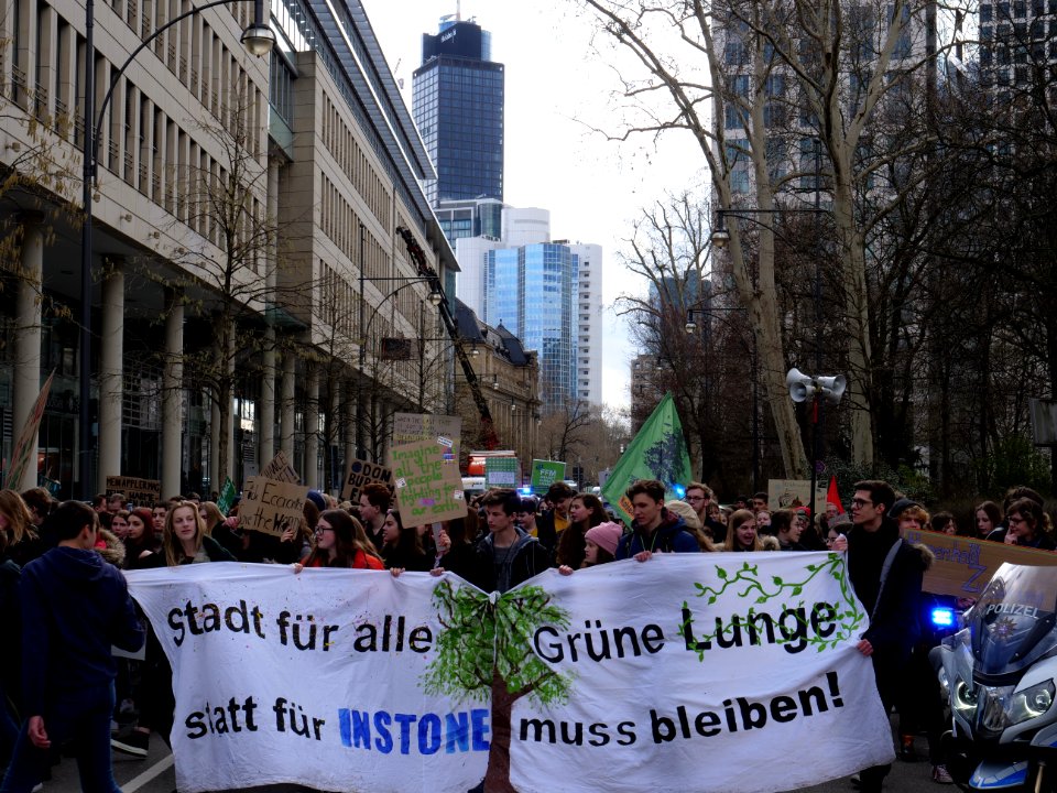 Fridays for Future Frankfurt am Main 08-03-2019 33