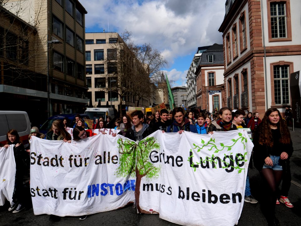Fridays for Future Frankfurt am Main 08-03-2019 37