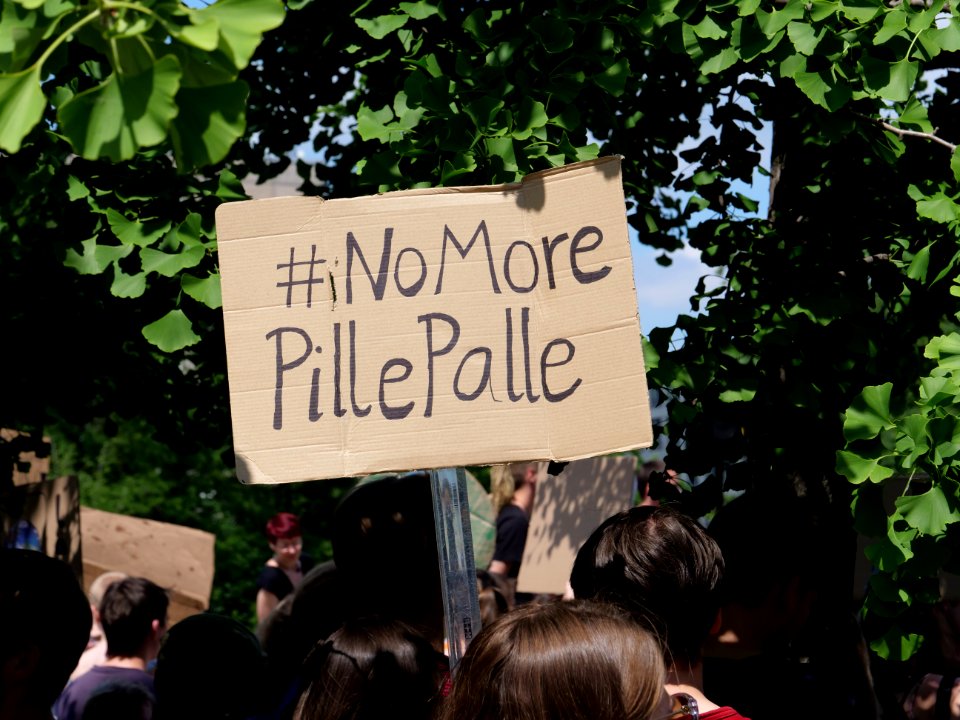 FridaysForFuture protest Berlin 07-06-2019 38