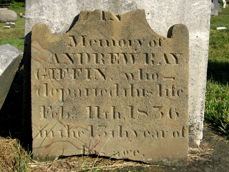 Giffin (Andrew Ray), Speer Spring Cemetery, 2015-09-17, 01