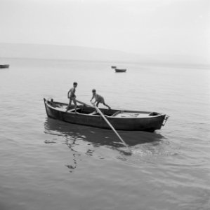 Gezicht vanaf de oever op het meer van Tiberias met op het meer enkele bootjes , Bestanddeelnr 255-4093