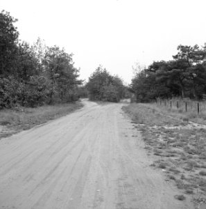 Gezicht vanaf rijksweg markelo-holten, Bestanddeelnr 161-0891