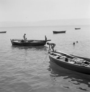 Gezicht vanaf de oever op het meer van Tiberias met op het meer enkele roeiboten, Bestanddeelnr 255-4096 photo
