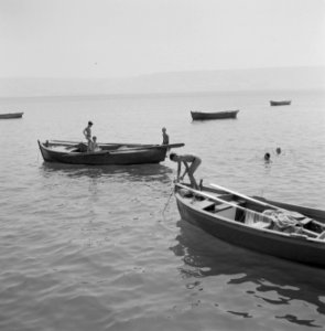 Gezicht vanaf de oever op het meer van Tiberias met op het meer enkele roeiboten, Bestanddeelnr 255-4096