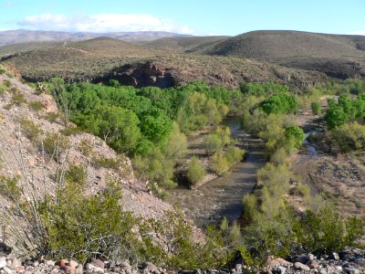 Gila Box, Gila River x Bonita Creek 1