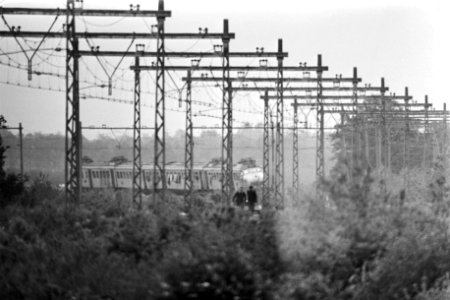 Gijzeling in trein bij De Punt (14e dag) voedsel breng naar de trein (en trein), Bestanddeelnr 929-2113