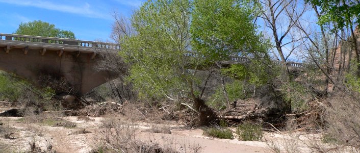 Gila bridge, Black Hills Back Country Byway, N span from SE 1