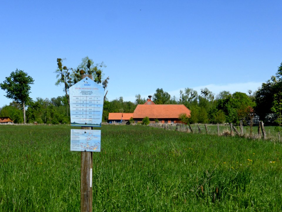 Giebel StSch