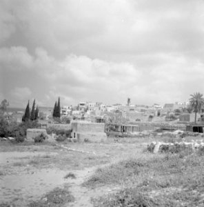 Gezicht op het arabische dorp Hahoresh in de buurt van Nazareth met in het midde, Bestanddeelnr 255-3219