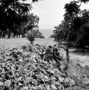 Gezicht op het Meer van Tiberias met enkele bomen en met op de voorgrond een hoo, Bestanddeelnr 255-4150