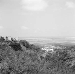 Gezicht op Zichron Yaakov en de kustvlakte met de Middellandse Zee, Bestanddeelnr 255-4210