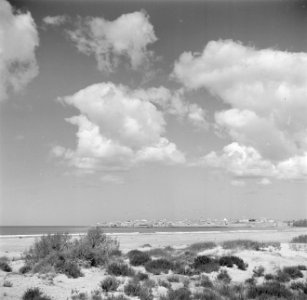 Gezicht op de stad, aan de baai van Haifa, Bestanddeelnr 255-0033