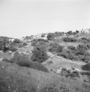 Gezicht op kunstenaarskolonie Ein Hod, Bestanddeelnr 255-2752 photo