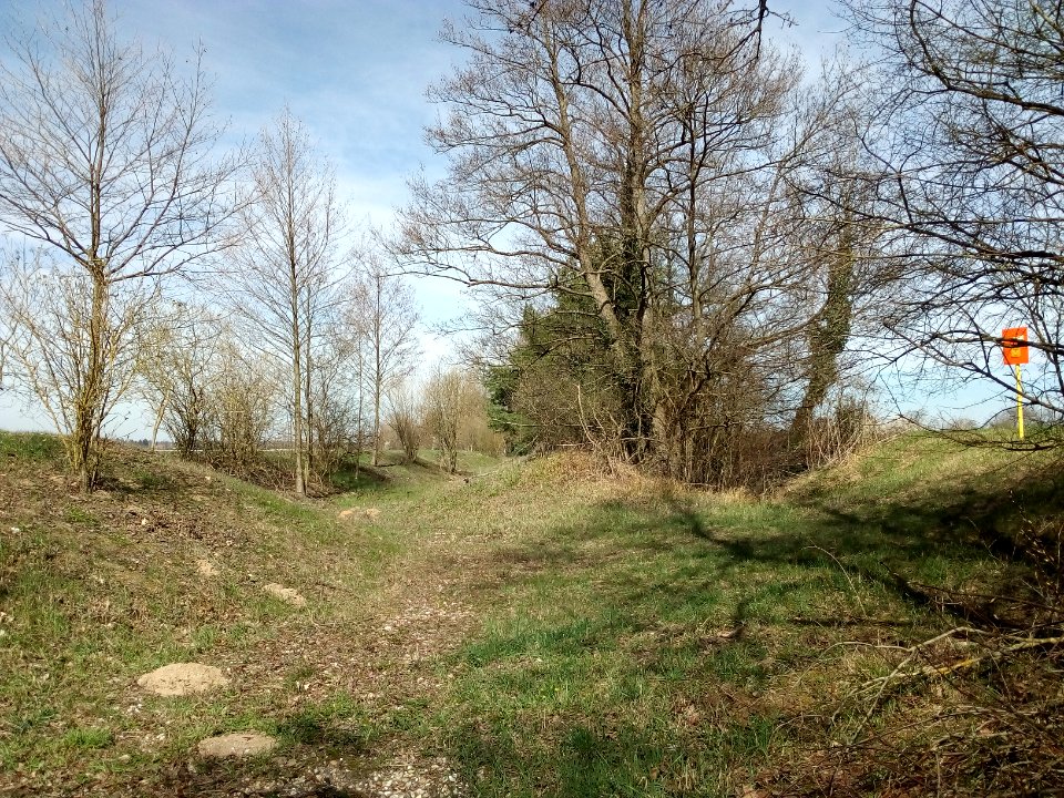 Gießgraben (Kriegbach), Aufweitung unterhalb des Kriegbachpolders