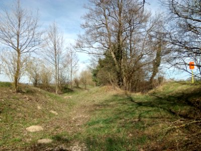 Gießgraben (Kriegbach), Aufweitung unterhalb des Kriegbachpolders