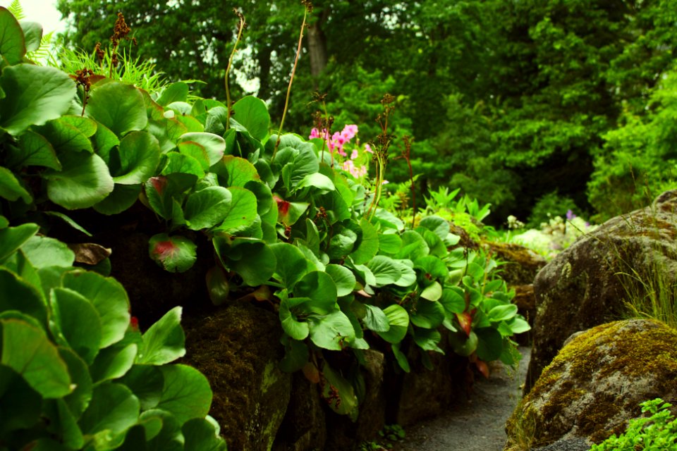Giessen botanischergarten 2