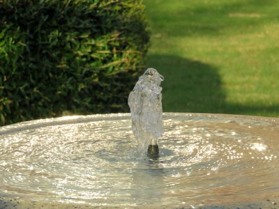 Fountain white park photo